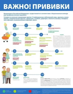 Общая информация о календаре прививок
