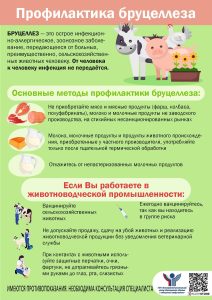 Профилактика бруцеллеза